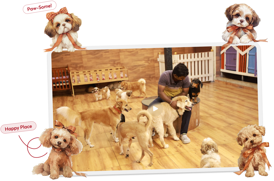 dog boarding Bangalore