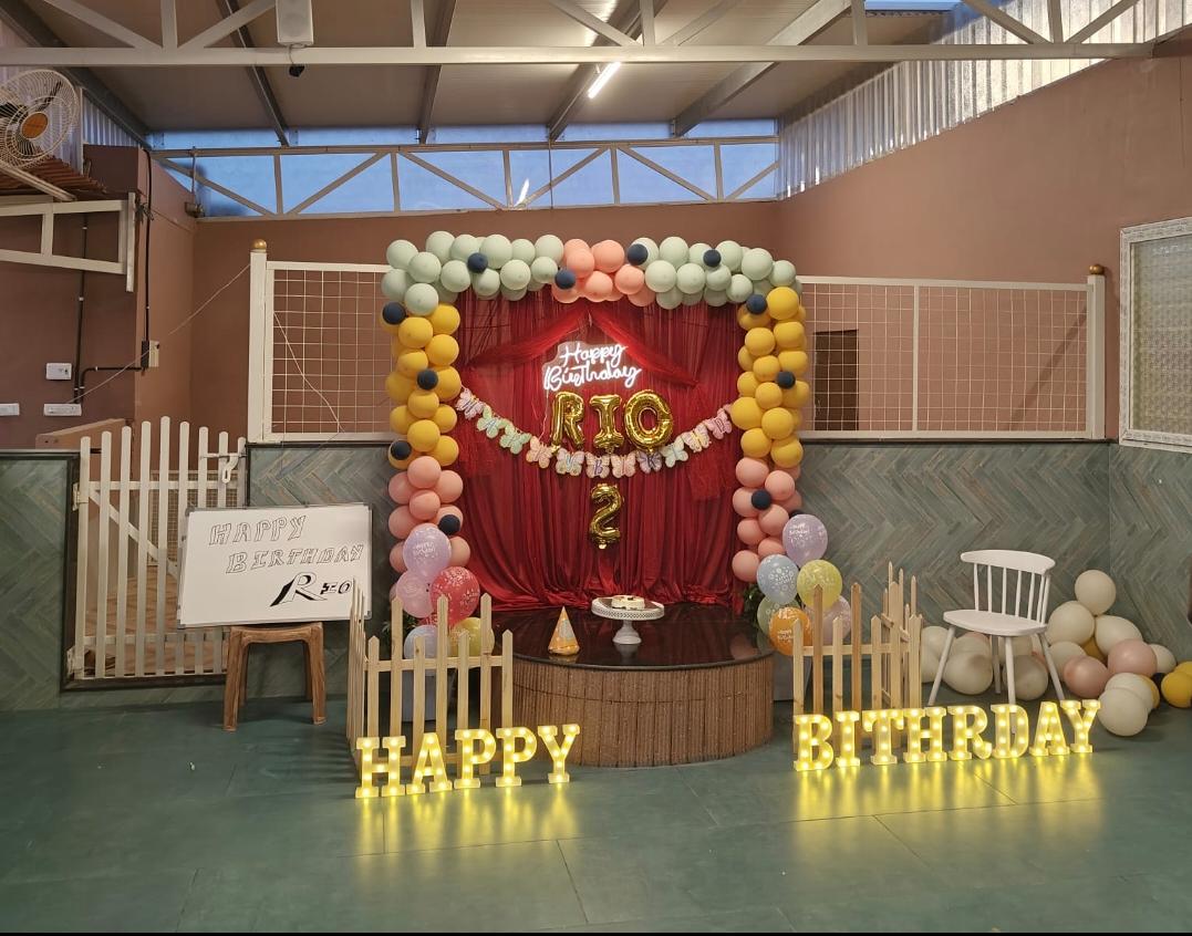 Colorful dog birthday party setup with balloons and glowing letters