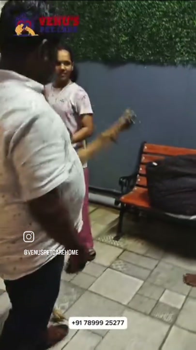 Caretaker spending one-on-one time with a dog